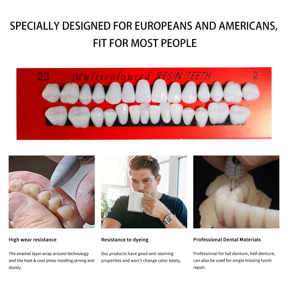 28 Teeth Dental Study Model Resin Denture Teeth for Education Props Bleaching Research Comparator Mirror & Technician Practice