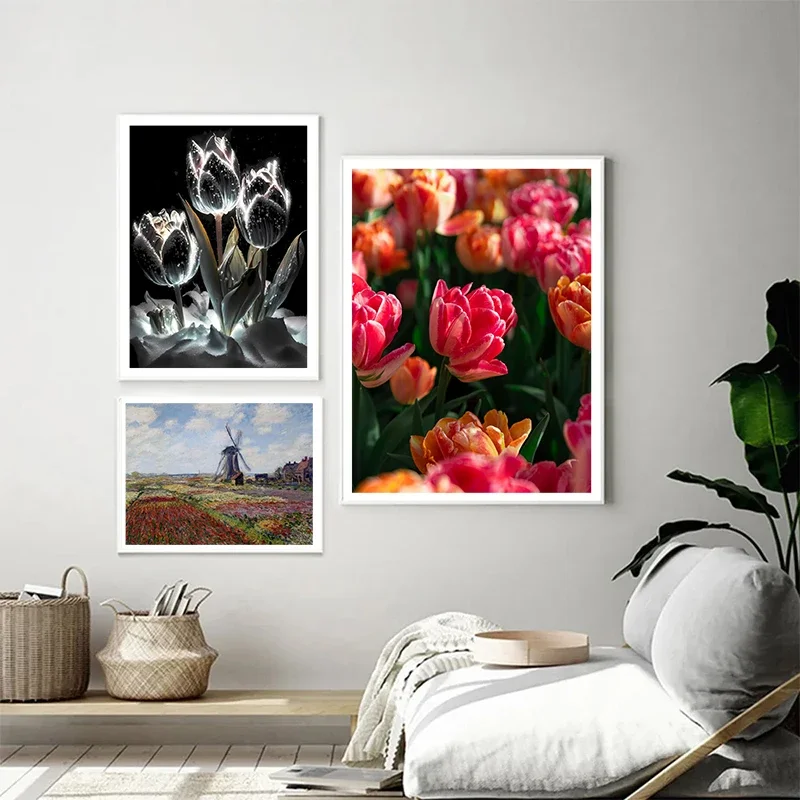 Dutch Tulip Field Beautiful Flowers Canvas Poster Colorful Natural Landscape Wall Picture for Living Room Bedroom Modern Decor