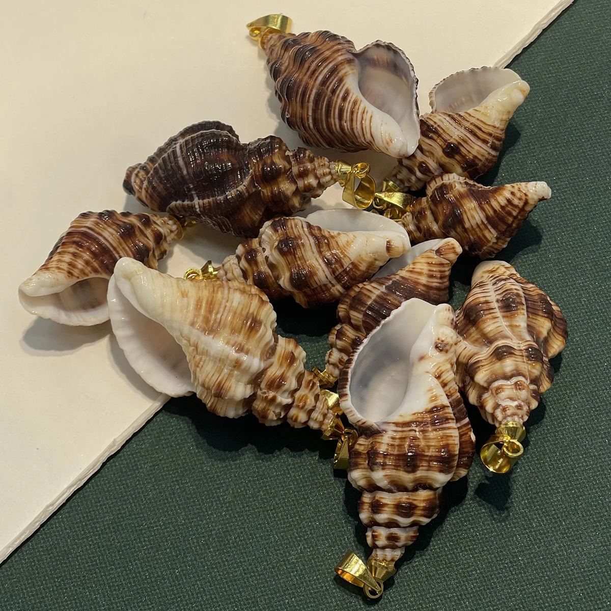 10pcs Natural Freshwater Shell Charms Handmade Snails Shell Conch Pendants for Jewelry Making DIY Necklace Accessories Ornament