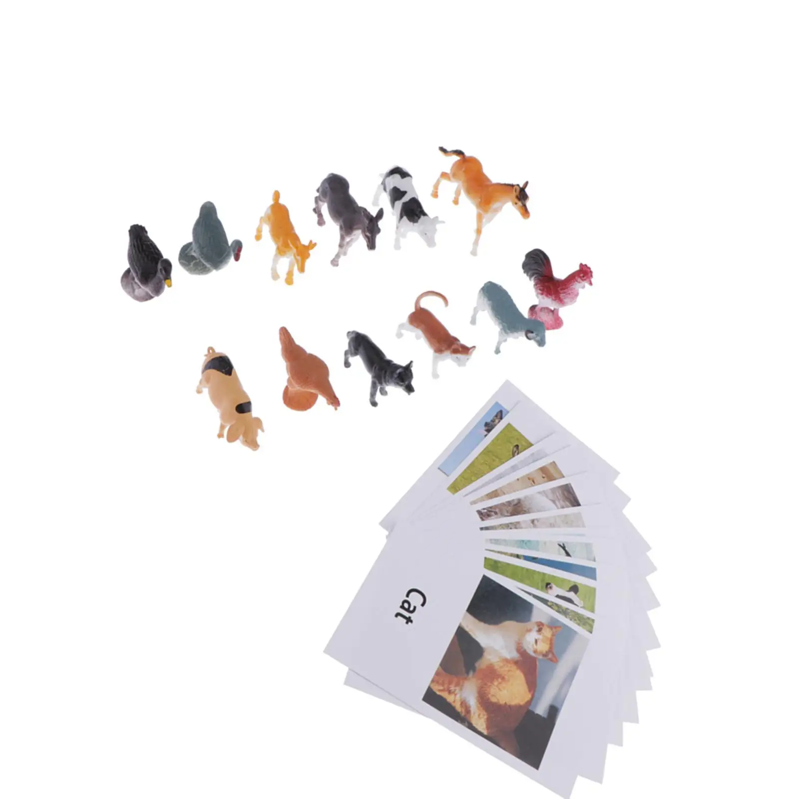 

Montessori Animal Match - Miniature Poultry Figurines (12pcs) with Matching Cards (12pcs) - 2 Toy, Language Materials