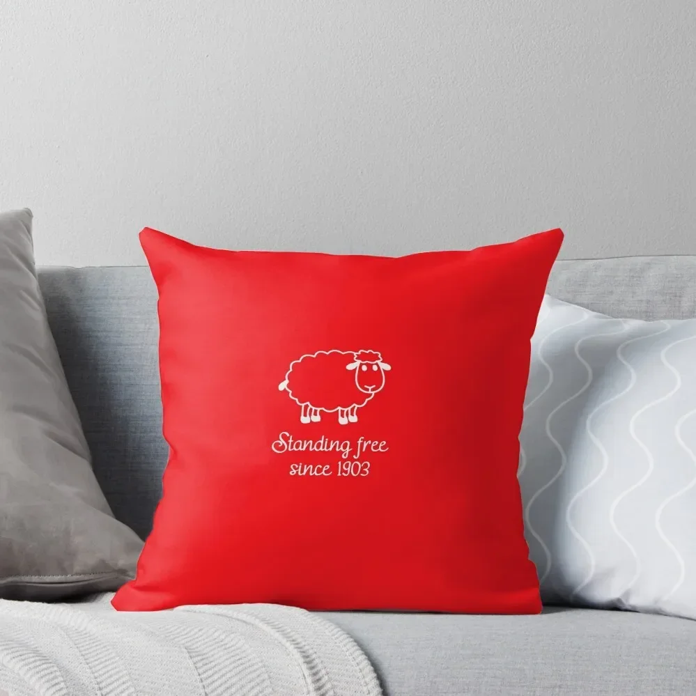 Aberdeen FC Standing free Throw Pillow Cusions Cover autumn pillowcase Pillow