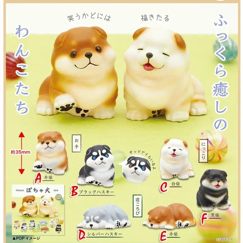 Original Kawaii Kitan Club Gashapon Figure Plump Shiba Inu Dog Mini Animal Figurine Anime Decor Capsule Toys