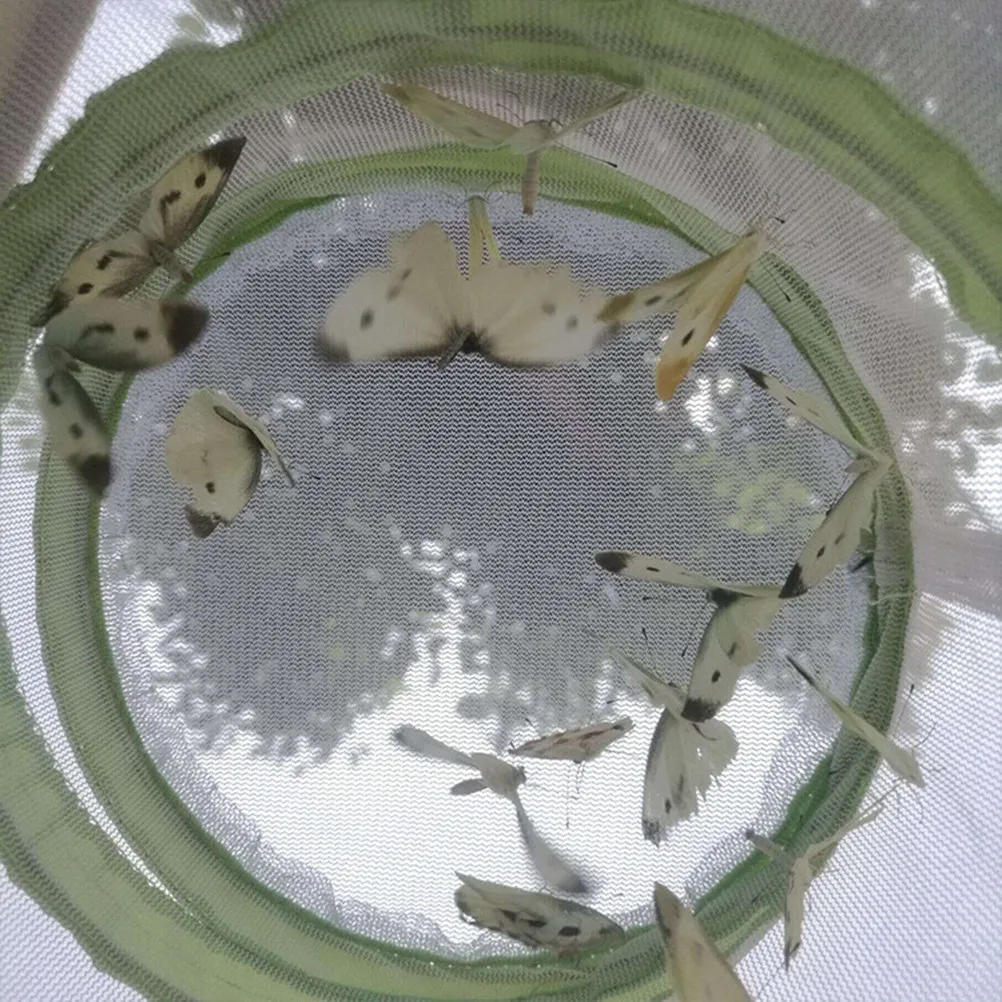 2 Pezzi Gabbia per Insetti per Bambini da Esterno, Portatile con Manico, Scatola per l'Osservazione della Natura, Casa per Insetti per Bambini