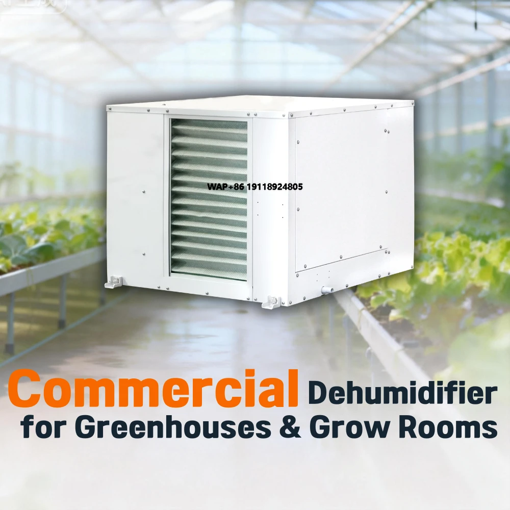 

Greenhouse Ceiling Mounted Dehumidifier Terpene Preservation for Cultivation Facility
