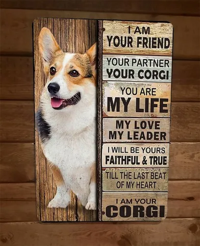 I am Your Corgi Friend Partner  Metal Wall Sign