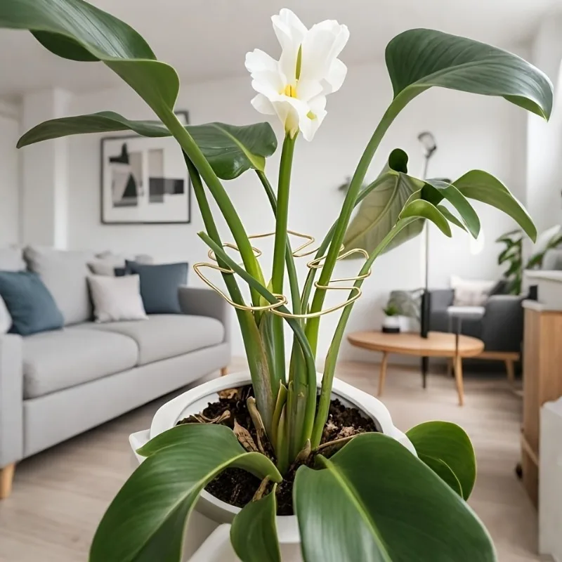 Pflanzenstielstütze, langlebig, Monstera-Stabilisator, Metall-Kletterpflanzentrainer, dekorativer Garten, ideale Pflanzenstütze für Wachstum – Detail 2