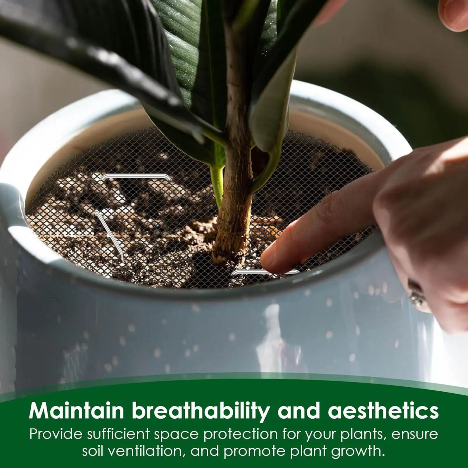 

Plant Pot Cover 10 Pieces Round Filler With 10 Stakes Round Plant Pot Grid For Indoor Gardening Moss Kitten Dog Gidding Squirrel