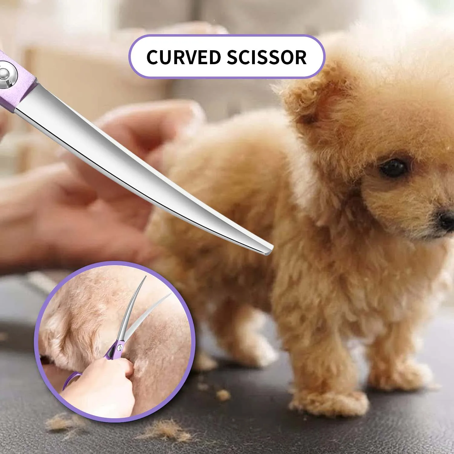 Curved Pet Hair Scissors Grooming Both Hand Available Stainless Steel Dog Scissors Pets Shears Animal Cutting Scissors