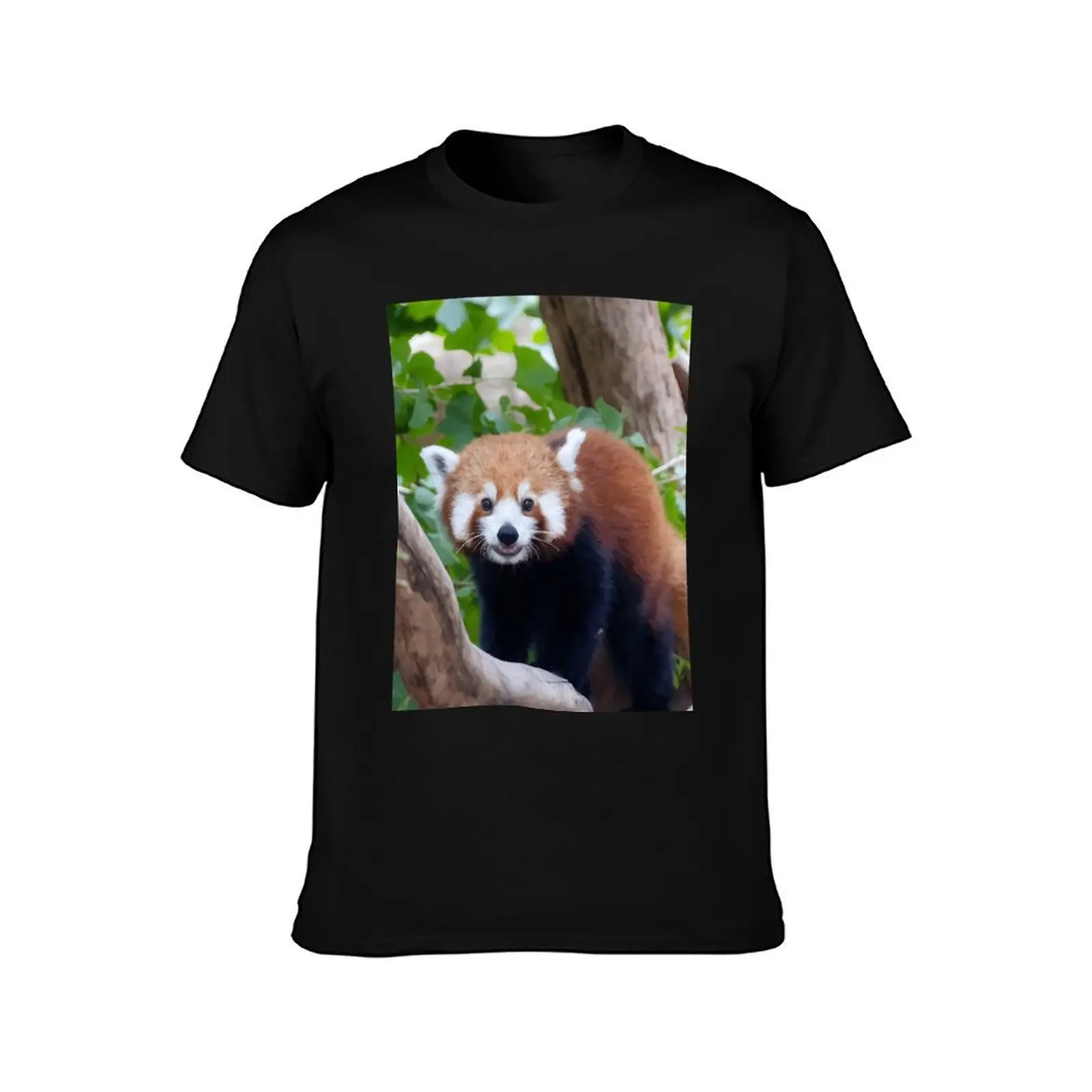 Panda at the Columbus Zoo Graphic \t\t T-Shirt Sweat Resistant Workout Tee Shirt T-Shirt