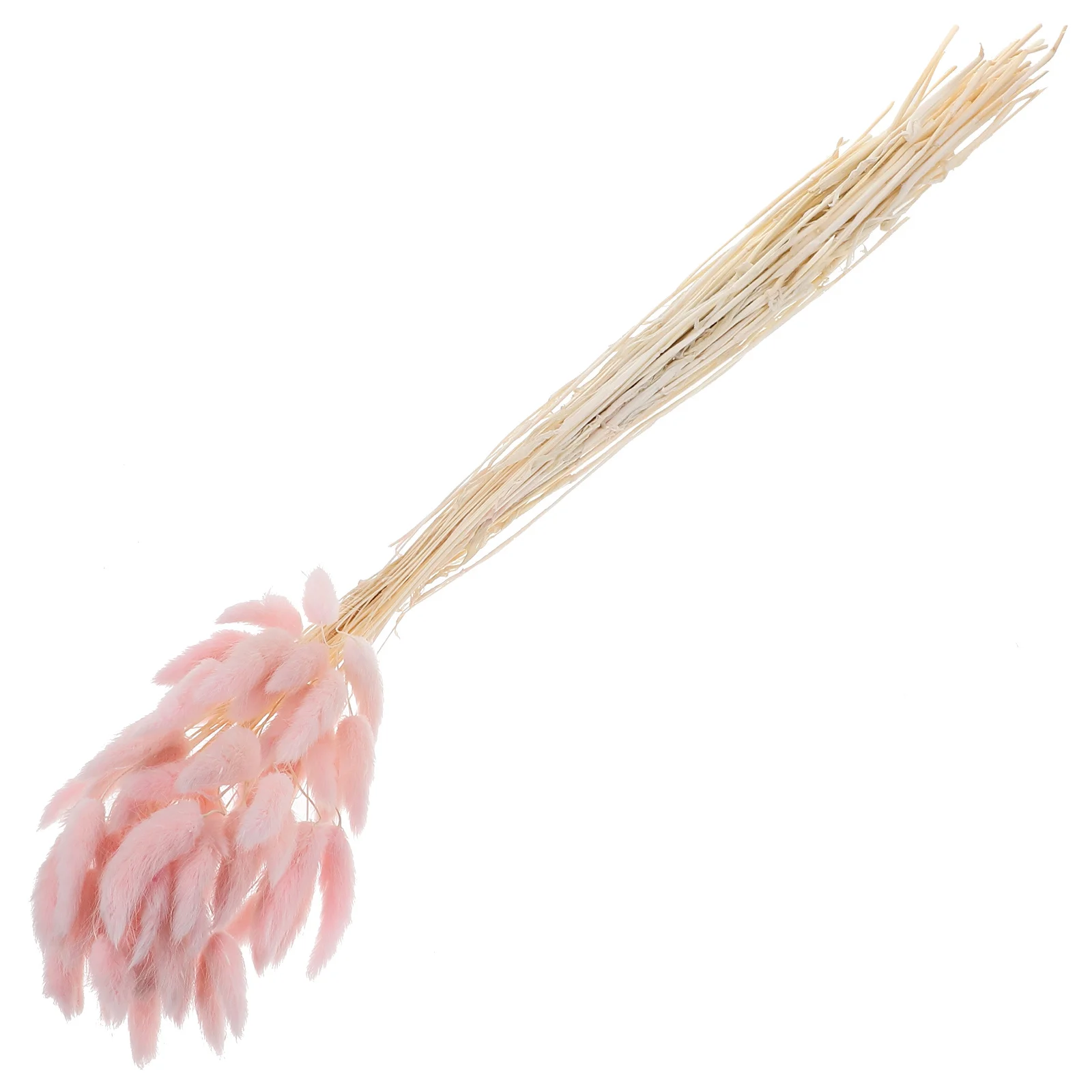 60 個ウサギの尾草ドライフラワー天然植物結婚式家の装飾牧歌的な写真ピンクウサギの尾草