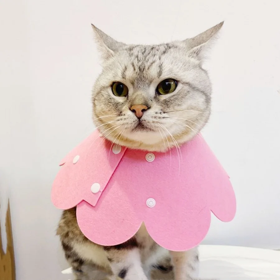 1 طوق إليزابيث سيركل للحيوانات الأليفة خفيف الوزن، غطاء رأس لباد ما بعد الجراحة، طوق قابل للتعديل مضاد للحرق