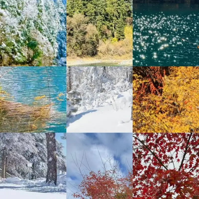 

Drive External Optical USB 3.0/Type-C with Dual Head Power Cord External Case Non-Slip Mat Portable for Netbook Hard Disk Player