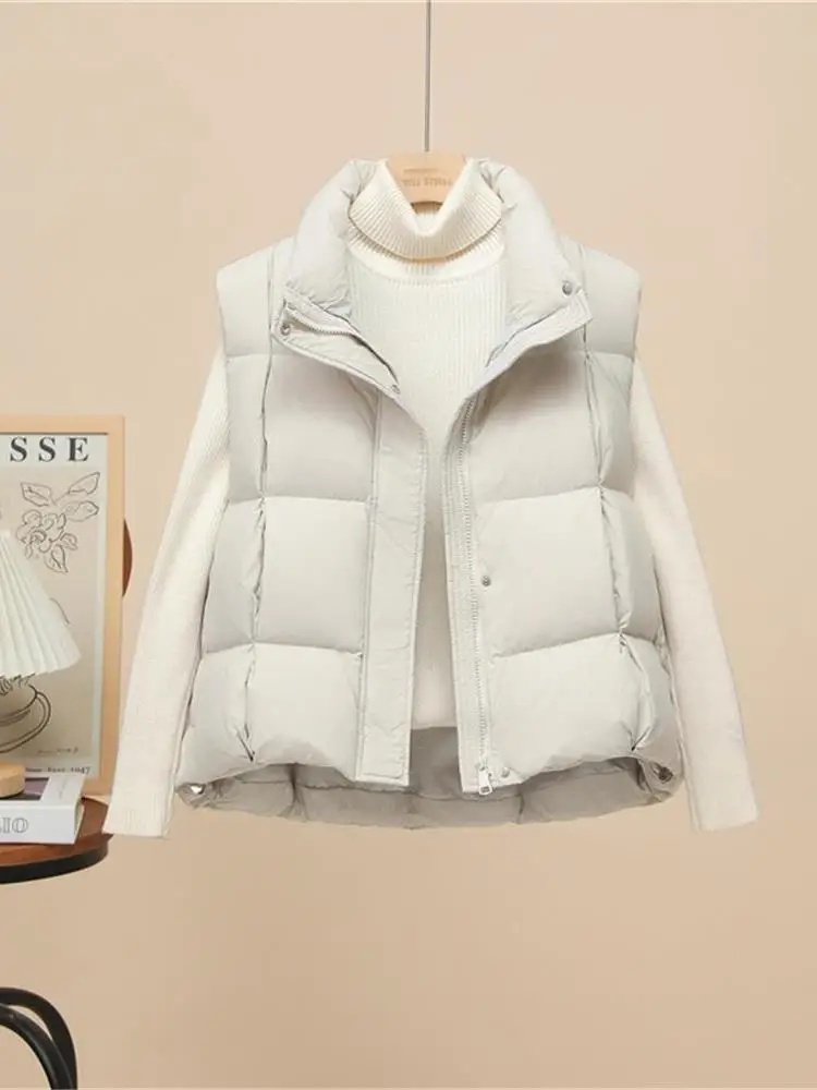 

Женский легкий пуховик с воротником-стойкой свободного покроя, универсальная верхняя одежда на осень-зиму