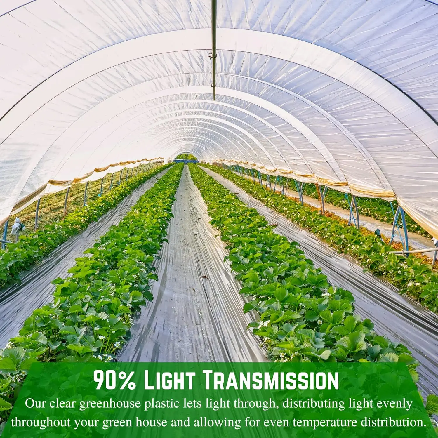 Farm Plastic Supply - Clear Greenhouse Plastic Sheeting - 6 mil - (60' x 70') - 4 Year UV Resistant Polyethylene Greenhouse Film