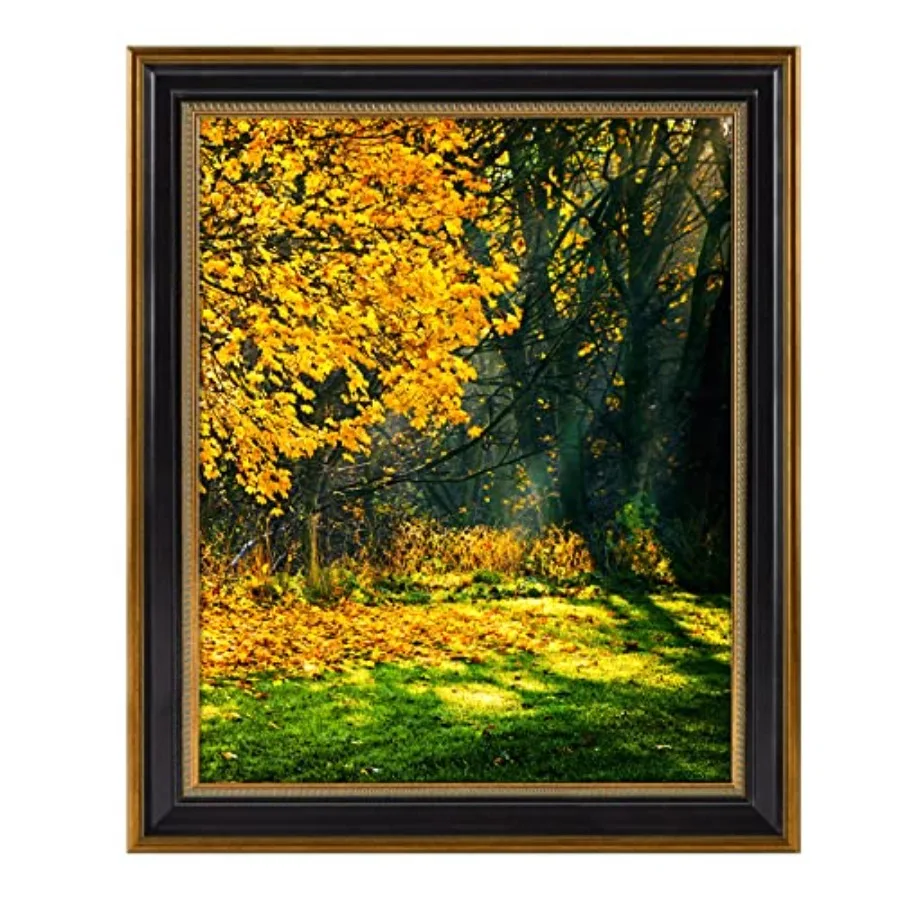

Рамка для постеров/фотографий/принтов 16x20 дюймов, ударопрочное настоящее стекло, настенное крепление, черный цвет с позолоченным декором, 1 шт.