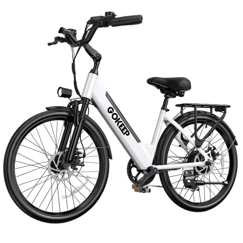 

250w Power-Assisted City Bike Customizle-Border with Long-Lasting 13ah Lithium Battery