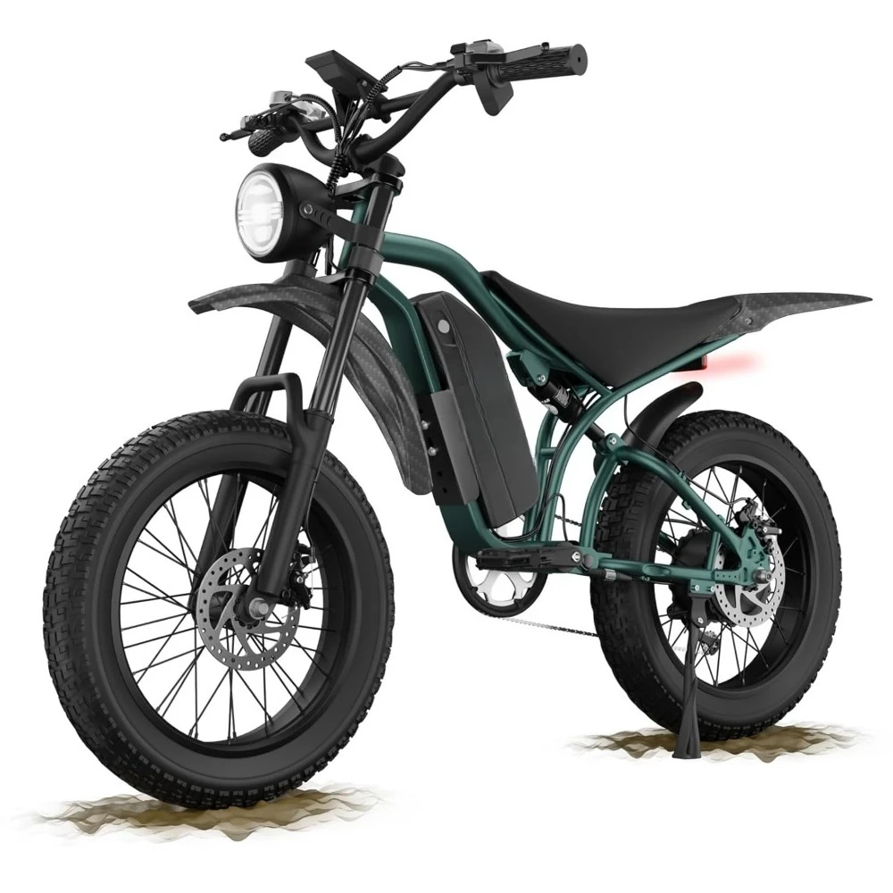 

Electric Bike, Ebikes for Adults with Peak 1200W Motor, 20" Fat Tire, 48V 15A Battery, 7-Speed, Dual Disc Brakes E, Customized