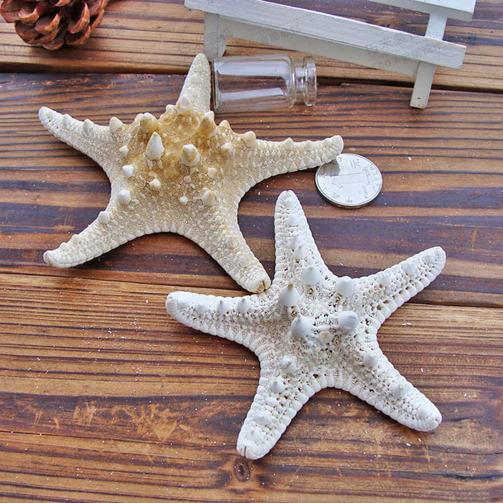 

2Pcs Natural Sea Star Ornaments Ornaments Ocean Themed DIY Hanging Photo Props Party Setting Wedding Decorations for Home Shop