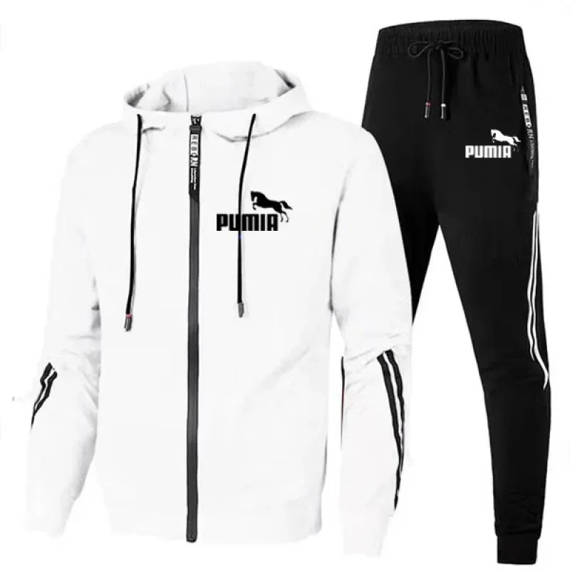 2PCS Design Tracksuit Mens Autumn Winter Hoody Jacket and Sweatpants Casual Print Sports Hoodies Jogging Suit