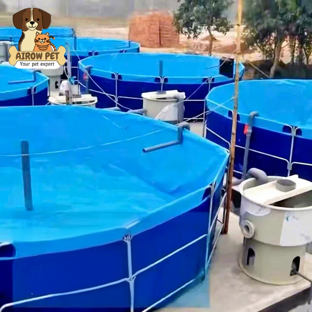 AIROW SDM 7000L 1800 Gallons 3m Diameter 1m Height Modern PVC HDPE Anti-UV Eco-Friendly Outdoor Fish Pond ISO9001 Geomembranes