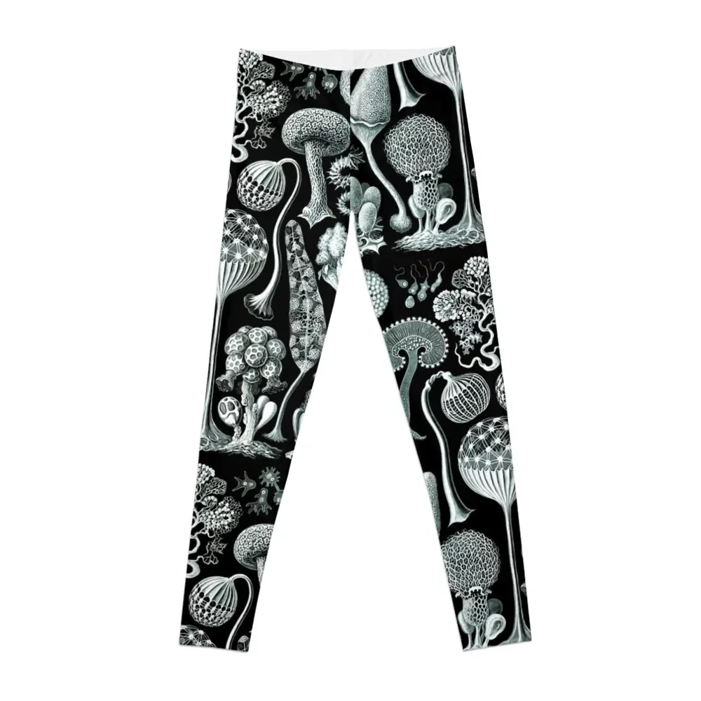 

Haeckel illustration Leggings harem pants for fitness Womens Leggings