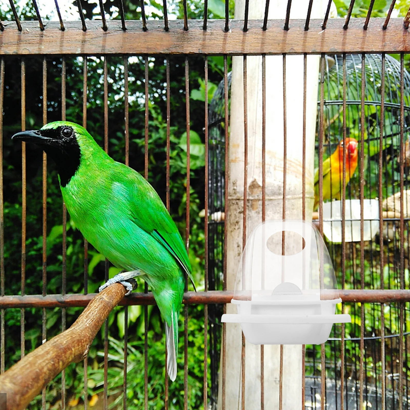 

Splash-proof Bird Food Box Feeder No-spill Transparent Cage Holder Small Slot Hanging