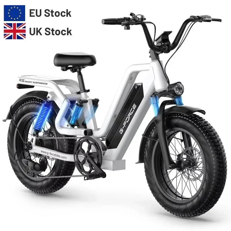 New style G-FORCE RS 750W Electric Mountain Bike 48V  E Bicycle 20inch Fat Tire Electric Bike 15Ah/25Ah Lithium battery