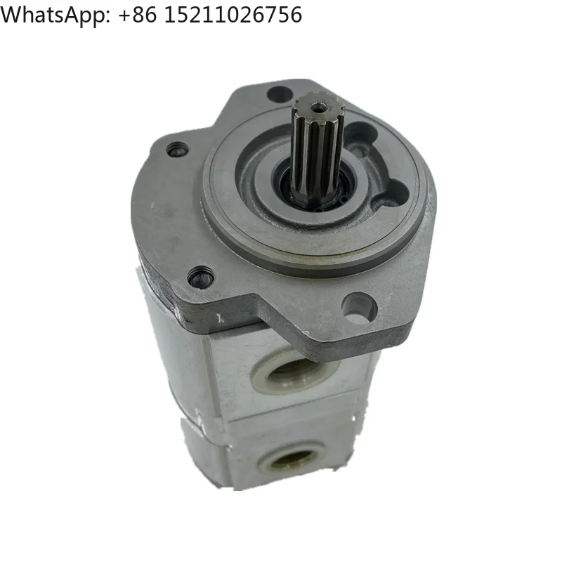 CASAPPA PLP PLP20 series gear oil pump Pump PLM PLP PLP30 PLP20 PLP10 PLP 20.8DO-31S1-LGD/GD-N-EL