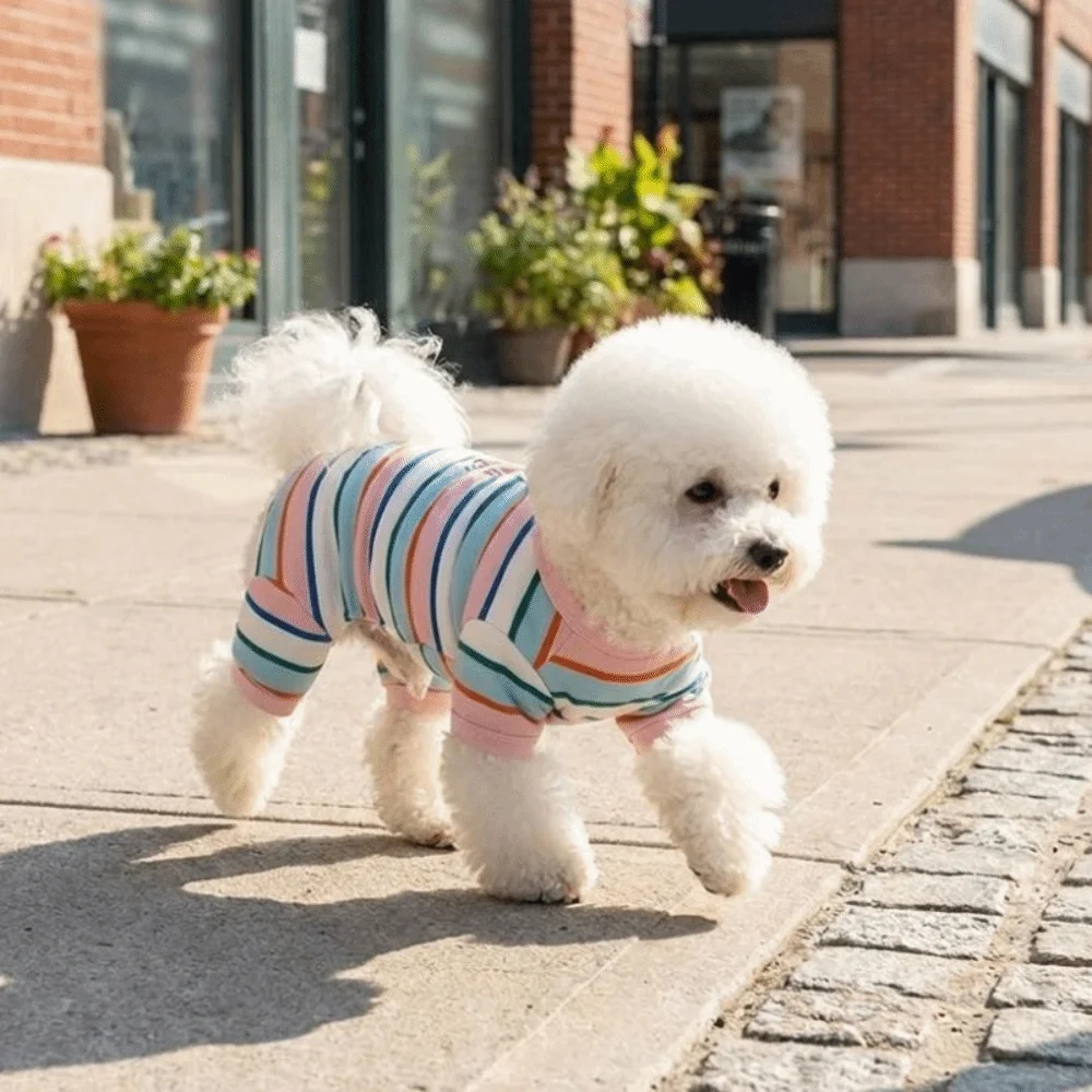 Breathable Colorful Striped Dog Jumpsuits Cotton Prevent Hair Loss Dog Four Legged Clothes Soft Elastic Puppy Rompers