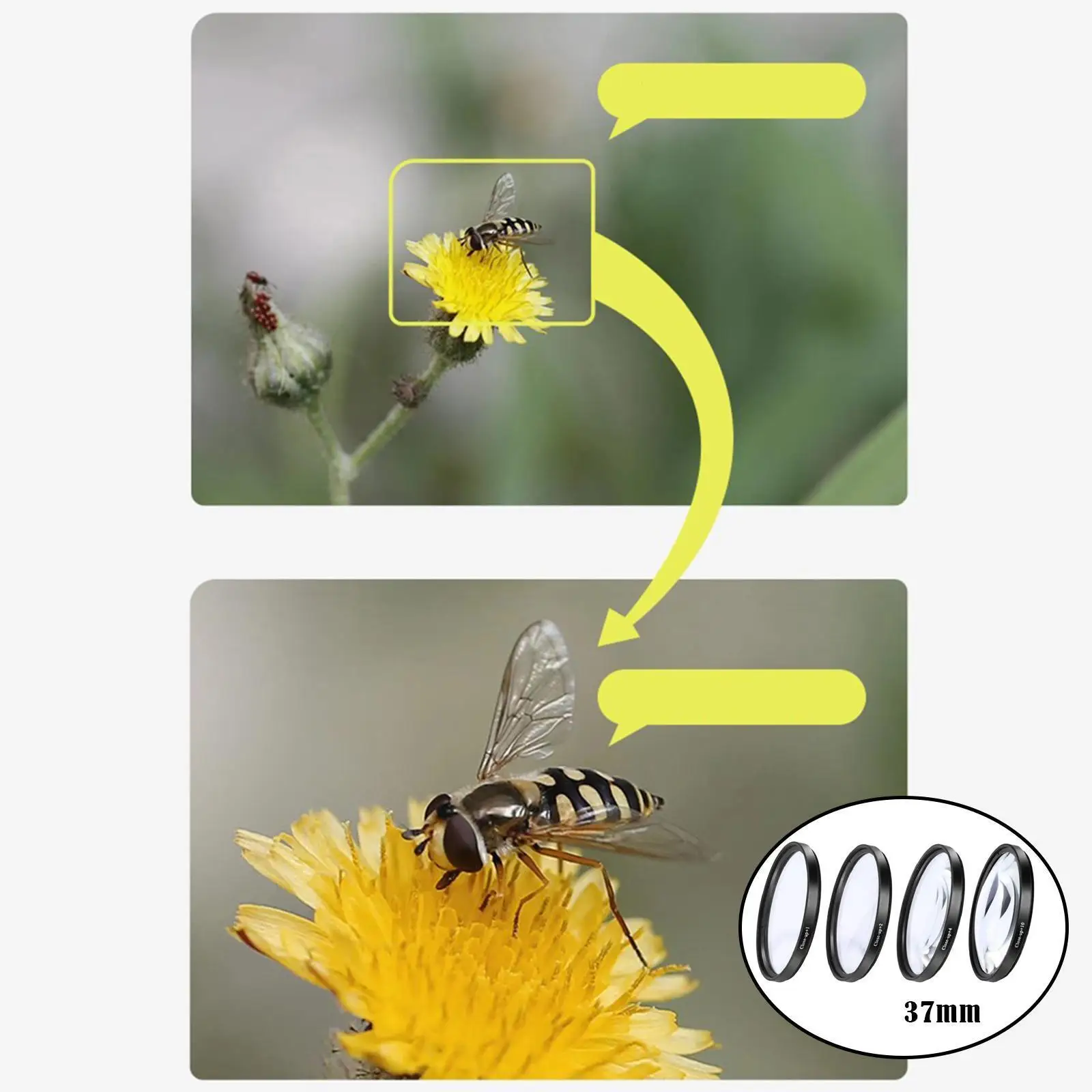 Kit de filtros de cierre + 1 +2 +4 +10 Juego de lentes para cámaras digitales 67 mm