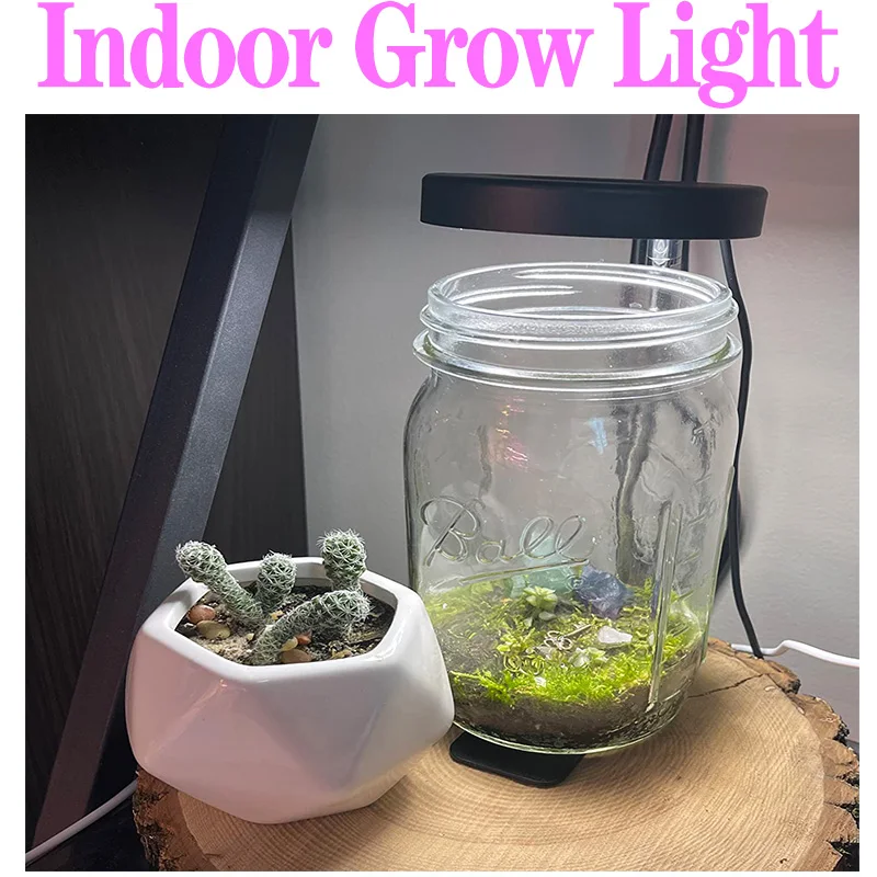 Full Spectrum Plant Lamp USB Grow Light LED Growth Light Phyto Flower Seedling Hydroponic Lighting Grow L Phto