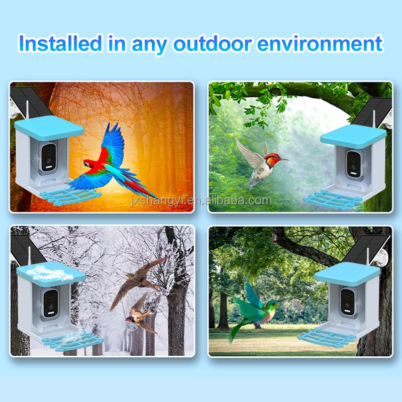 Заводская OEM-модель: Экологич – обзор и цена Smart Bird Feeder Camera