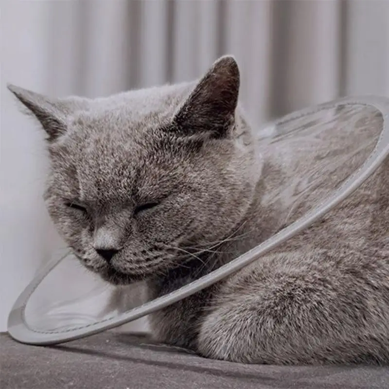 X4YE Dog Cone Collar After Surgeries Multiple Size After Surgeries Soft Collar