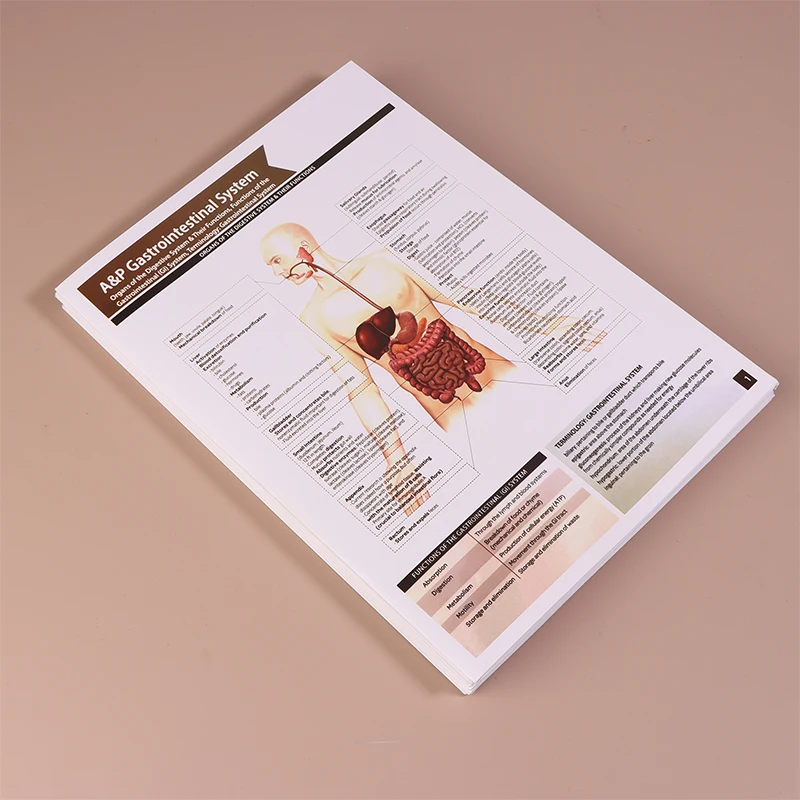 Guides de référence d'anatomie indispensables - Lot de 10 pour les futures professionnels de soins de santé