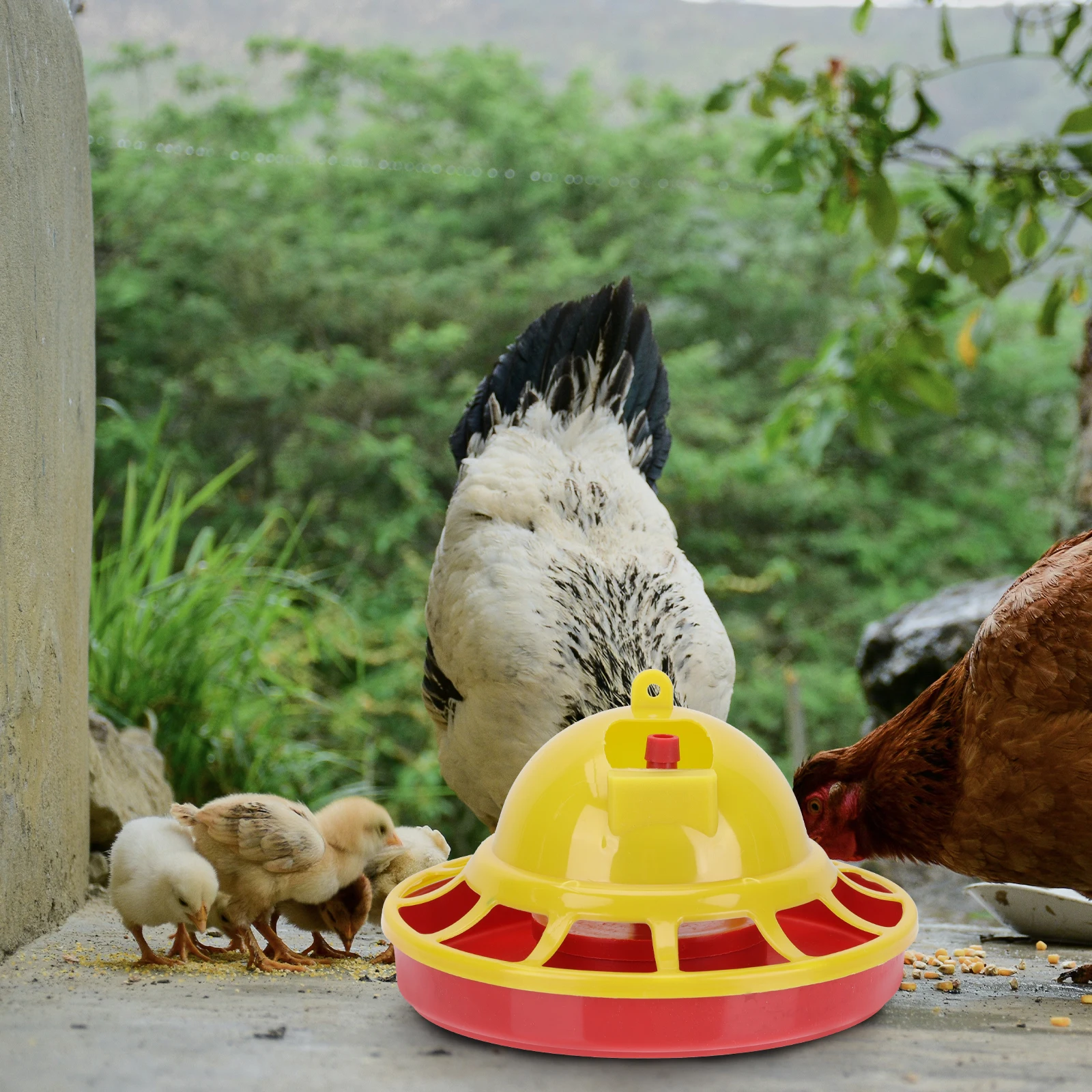 

2pcs Chick Water Fountain Durable Plastic Poultry Feeder Detachable Easy Clean Automatic Chicken Bird Quail Drinking Basin Farm