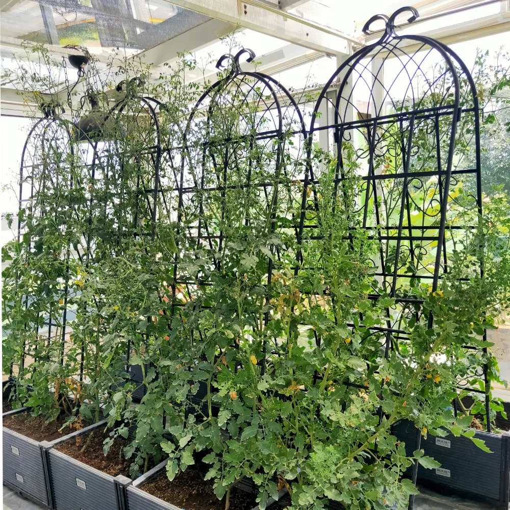 2 Pack Metal Garden Trellis 71