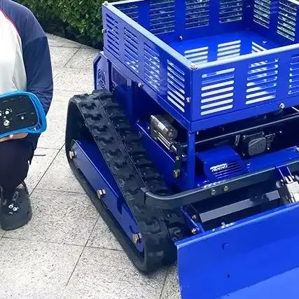 

Customized small robot lawn mower with storage rack, 550mm cutting width remote control track type for lawn care