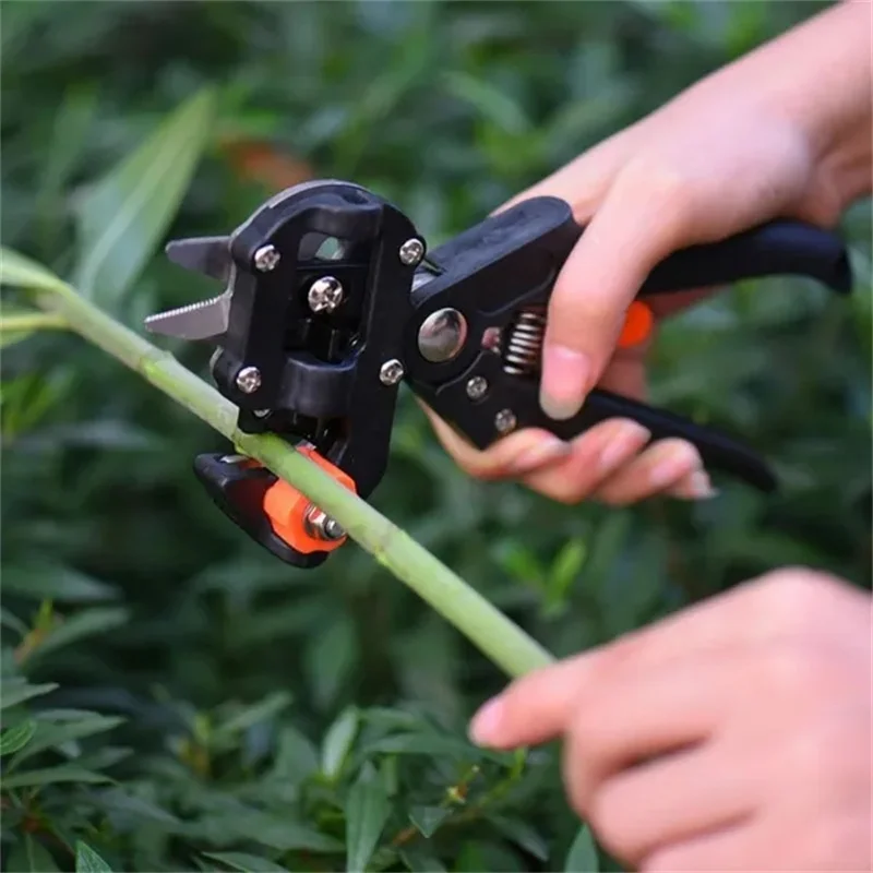 1 Juego de tijeras de podar profesionales para agricultura, tijeras de injerto para jardín, tijeras para árboles frutales, herramienta de corte, herramientas manuales