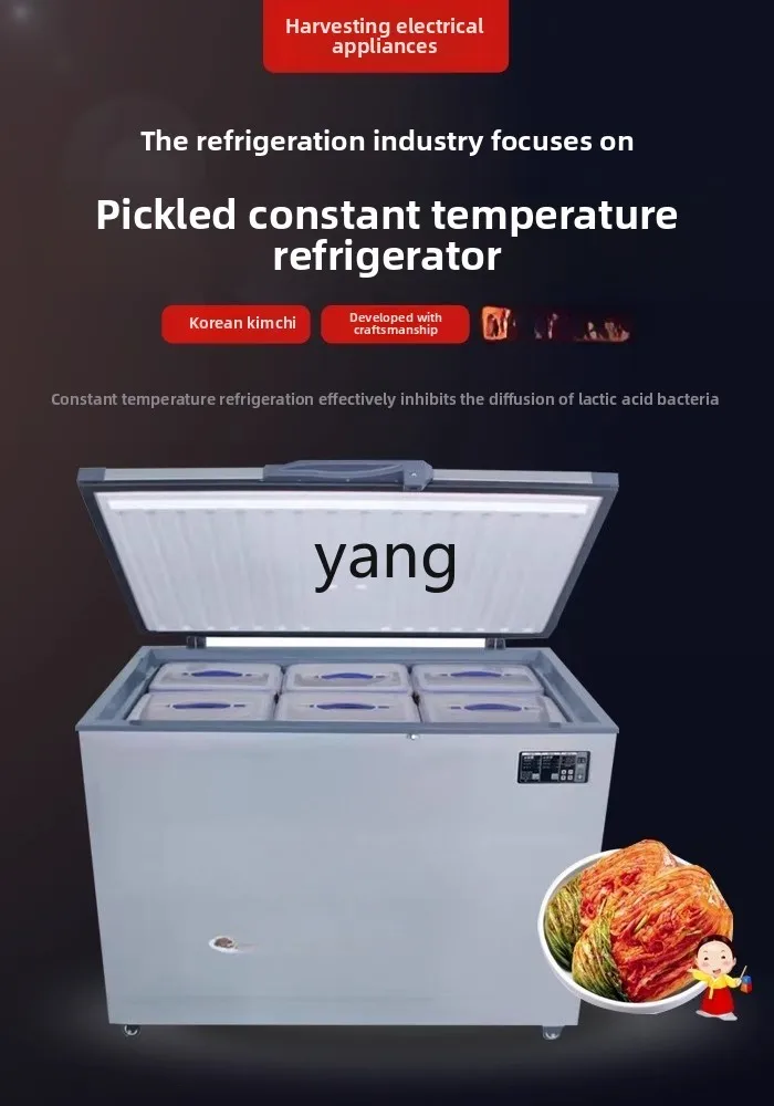 CX 冷蔵および冷凍小型家庭用および商業用横型スマート冷凍庫、浸漬野菜ボックス付き