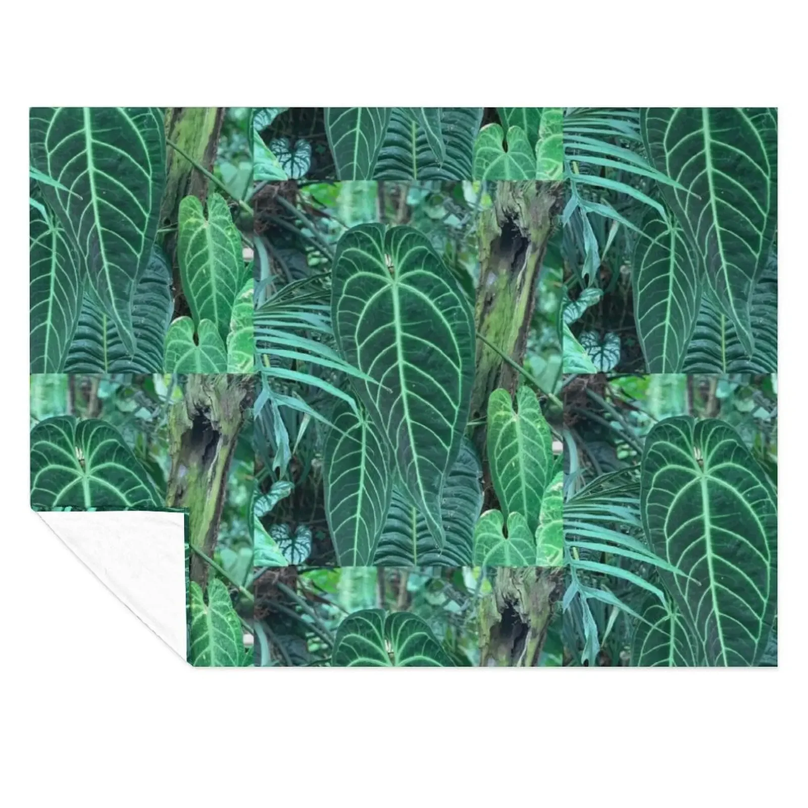 

Queen and King Anthurium Fresh Throw Blanket Luxury Thicken Luxury Designer heavy to sleep Picnic Blankets