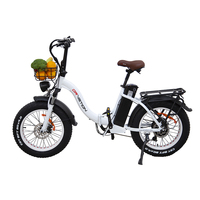 DRVETION CT20 Ebike Foldable 750W Motor 48V Removable Battery Electric Bike 20 inch Fat Tire Electric Bicycle with Basket