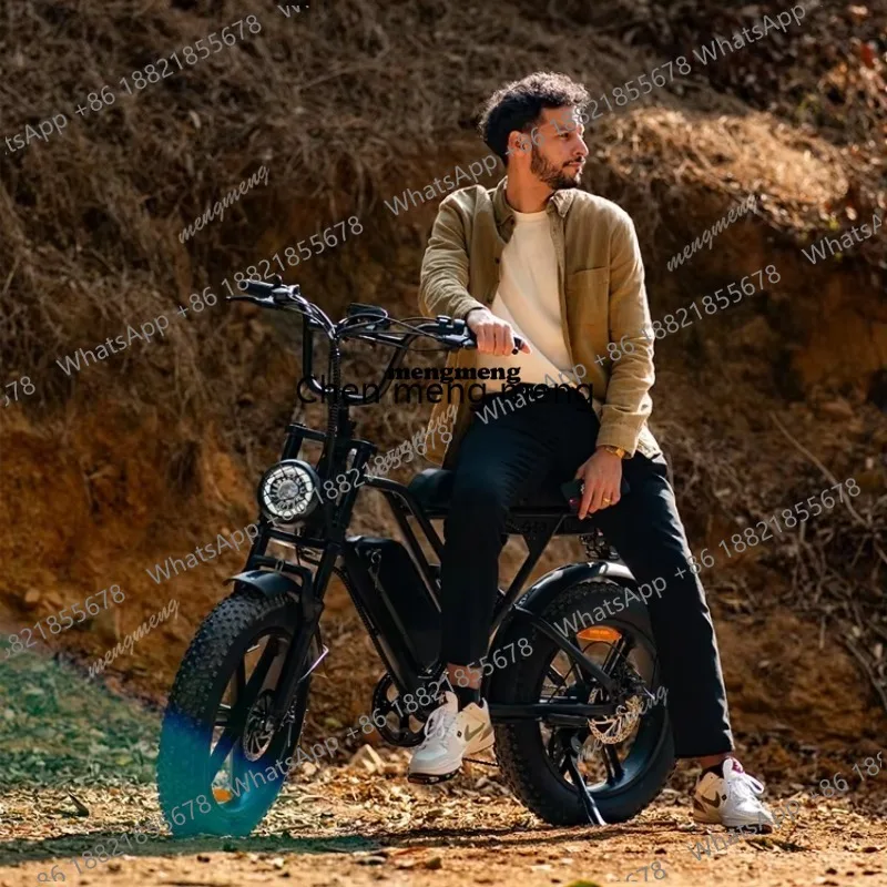 California Pick up EBike 20ah Battery Electric Bike 500W 20'' Fat Tire Road Electric Bike Lithium Battery for Adults