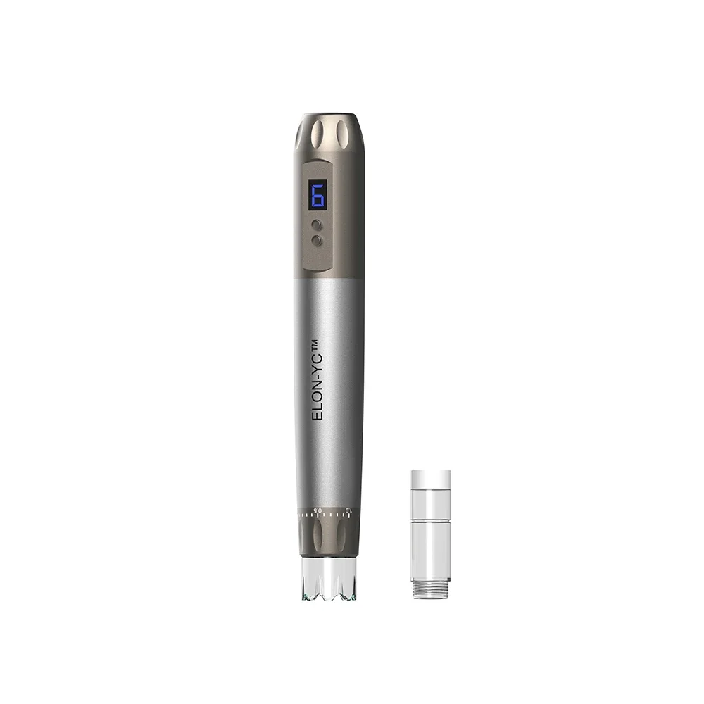 Stylo à micro-aiguilles professionnel sans fil Hydra H6 avec 5 pièces, adhérence des rides grossières, stylo Derma, appareil de beauté pour les