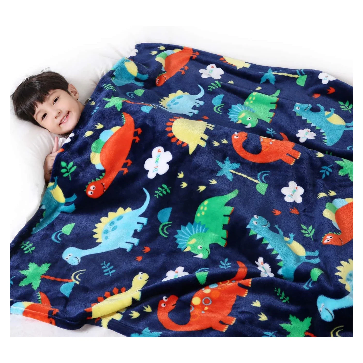 Boys and Girls Dinosaur Blanket, Dinosaur Throwing Blanket Dinosaur Gift Birthday Gift Soft Children's Blanket, Children's Gift