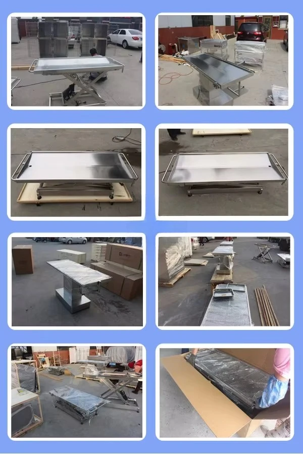 Veterinary Instruments Pet Stainless Steel Hydraulic Examination Table Portable V-Operated Electric Veterinary Operating Table