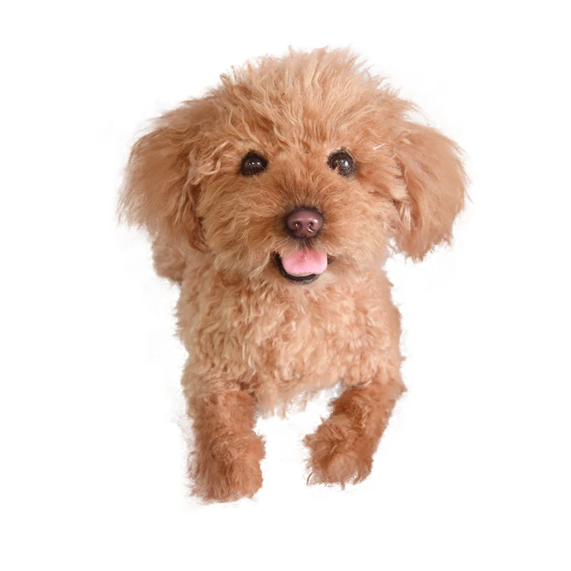 Dropshipping regalo mascota conmemorativo Teddy VIP exclusivo personalizado hecho a mano gato y perro de peluche juguete para regalo