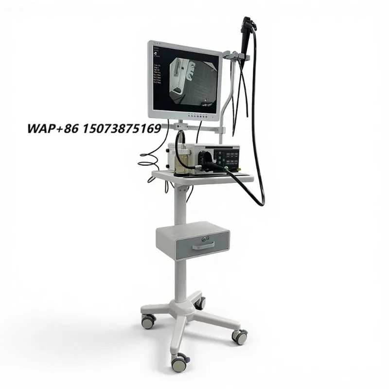 4K Veterinary Endoscopy System for Hospital Diagnosis Veterinary Surgery Operating System