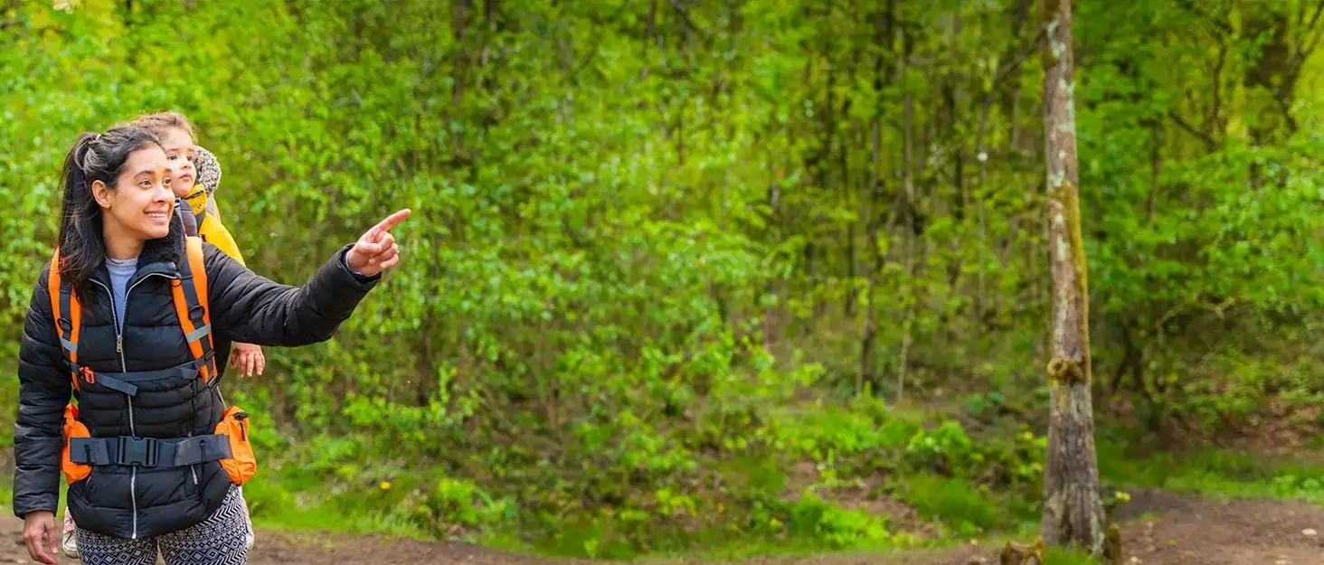 w-Carrier バックパック - 快適な幼児/ベビーバックパックキャリアシステム、おむつ交換パッド、断熱ポケット、雨よけと日よけ付き