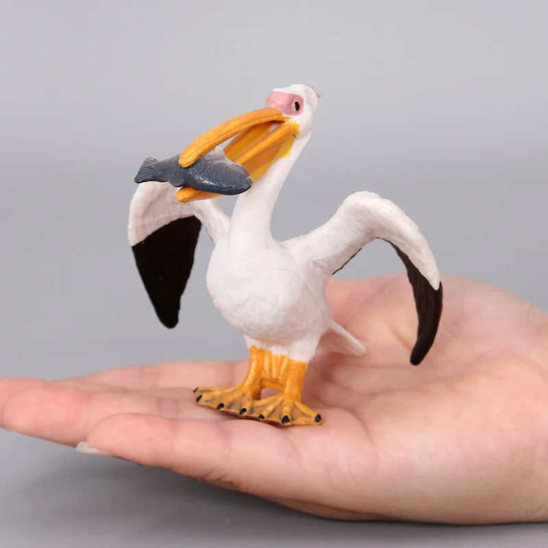 Simulation wildlife model children's toys birds gannets pelicans fish science and education props home ornaments