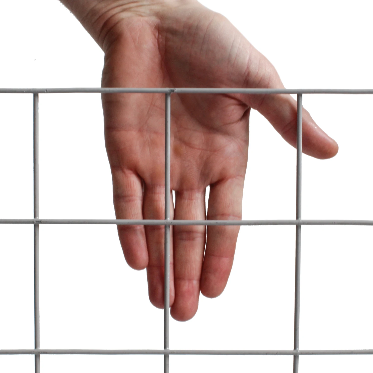 

Welded Wire Mesh Panel for Fencing Trellis & Gates